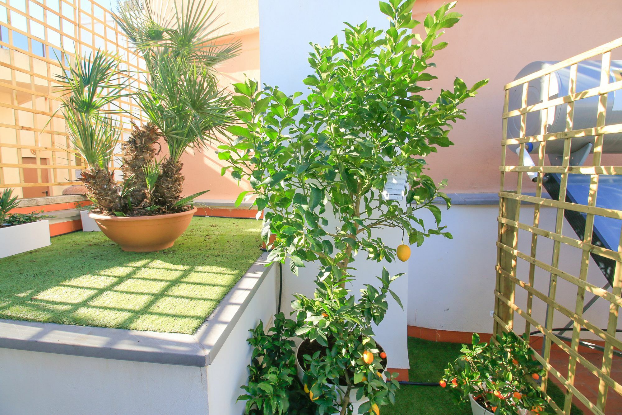 Ecobet Apartments Βαλένθια Εξωτερικό φωτογραφία